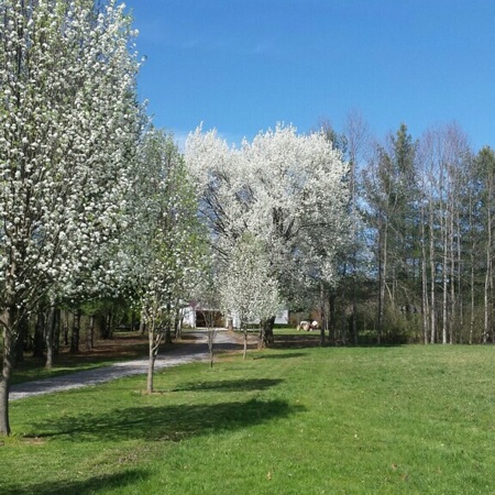 Van Hook in Pictures