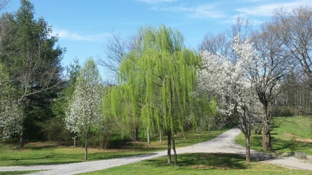 Van Hook in Pictures