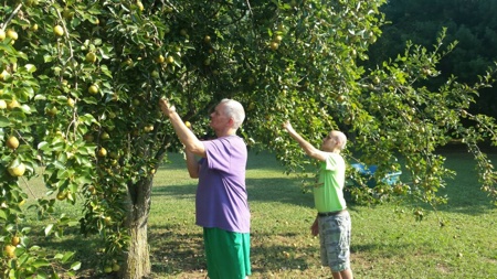 Van Hook in Pictures