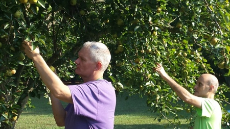 Van Hook in Pictures