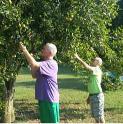 Activities on the Van Hook property